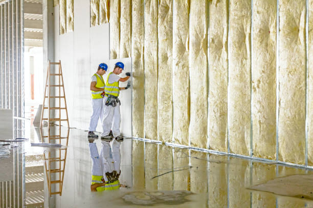 Best Home Insulation Services  in Lofall, WA